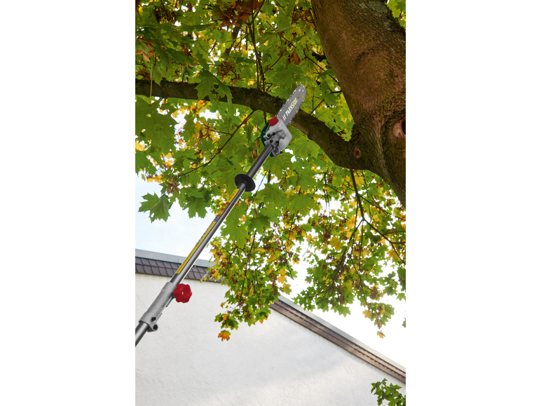 Telescopic pole saw for tree pruning, reaching high into green foliage.