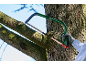 Green bow saw cutting a tree branch, held by a gloved hand.