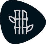Seal 5