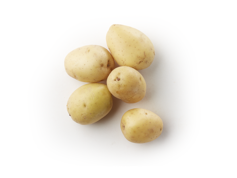 Five small, light-skinned potatoes on a white to black gradient background.