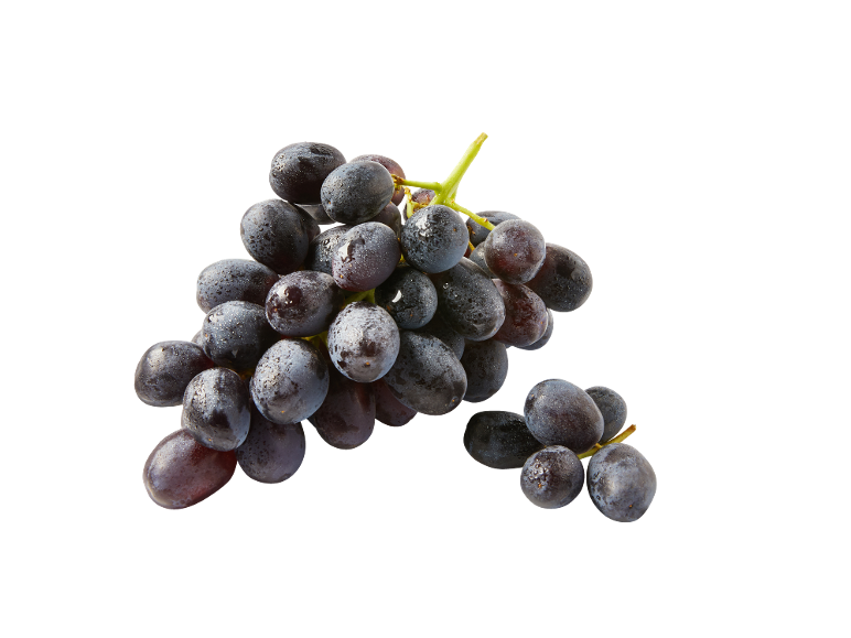 Bunches of fresh dark grapes with water droplets on a black background.