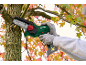 Person in gloves using a compact chainsaw to prune a tree branch with autumn leaves.