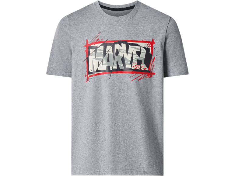 Grey men's T-shirt with a graphic logo print in grunge style.