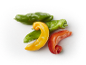 Vibrantly colored peppers: green, yellow, and red, on a gradient background.