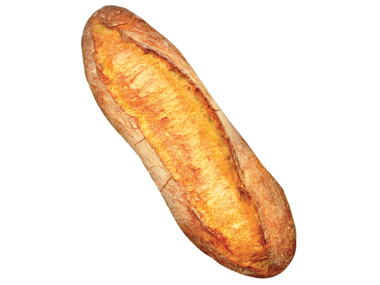 Rustic bread with a crispy, golden crust