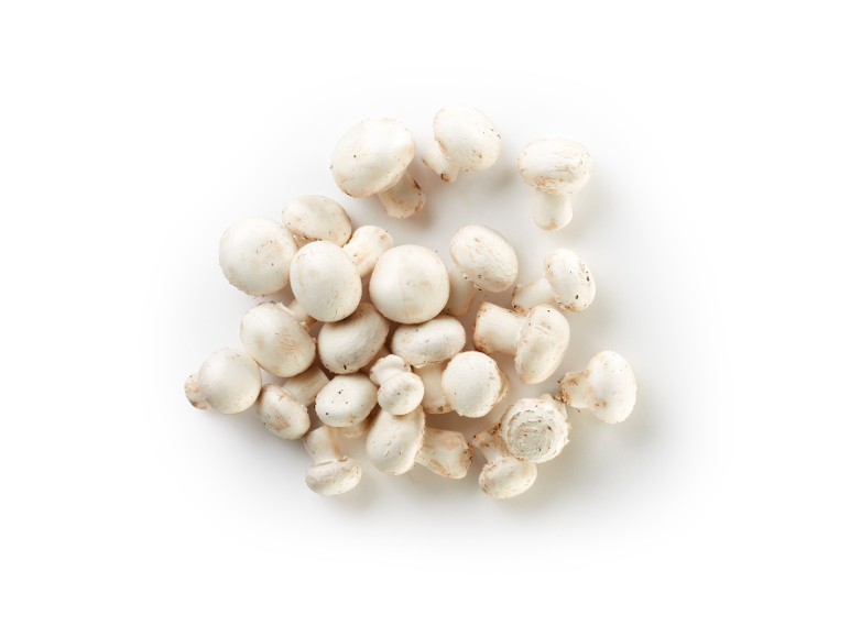 A pile of fresh white button mushrooms on a white background.