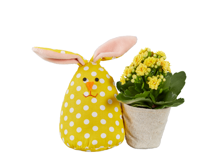 Yellow polka dot plush bunny and yellow flowers in a jute pot.
