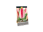 Triumph 'Playgirl' tulip bulb package with white and red flowers, featuring a premium quality label.