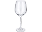 Empty clear glass wine glass with a long stem and round base.