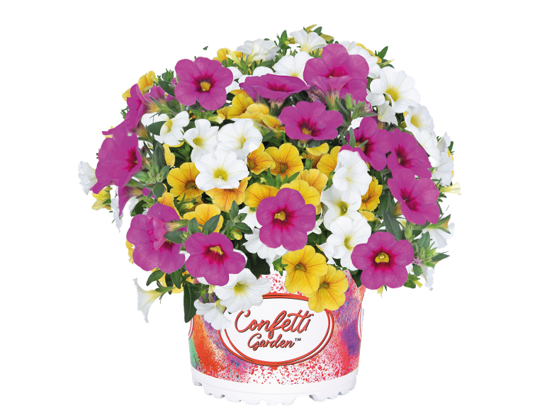 Flower pot with pink, yellow, and white flower arrangements, with 'Confetti Garden' on the pot.