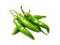 Fresh green chili peppers with water droplets on a white background.