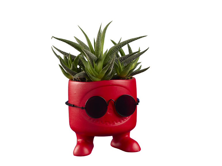 Red character-shaped pot with sunglasses and a succulent plant.
