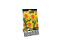 Pack of 8 premium quality 'Loveday' narcissus bulbs, featuring yellow flowers with orange centers.