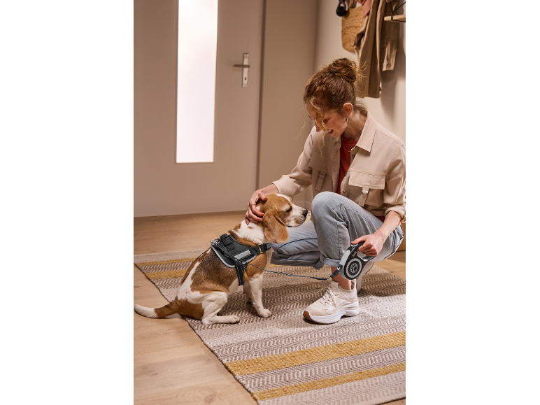 Woman petting a beagle wearing a dog harness, holding a retractable dog leash.