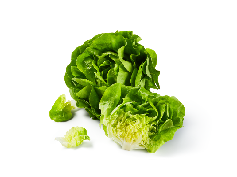 Fresh green lettuce with water droplets on a white background.