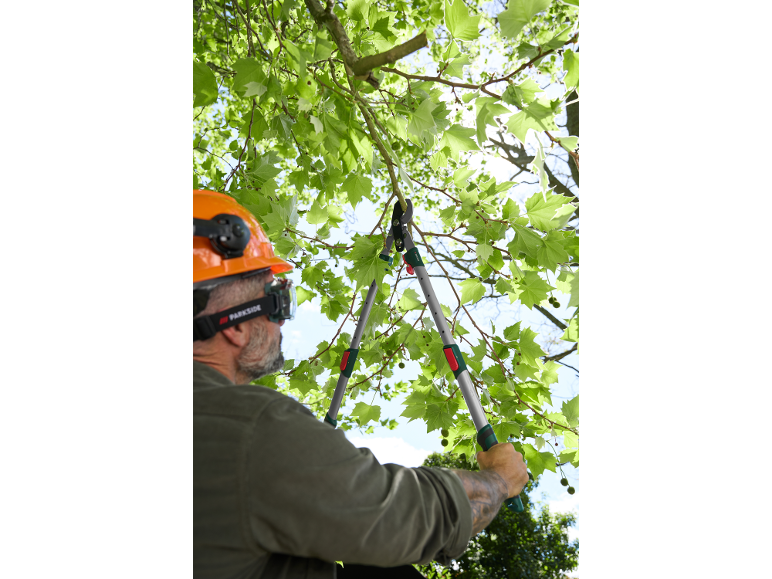 Man in a safety helmet pruning tree branches with long-handled loppers.