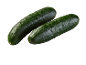 Two fresh green cucumbers with water droplets on a black background.