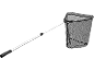 Fishing net with extendable handle