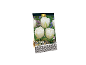 Pack of 10 premium quality 'Mount Tacoma' tulip bulbs with white flowers.