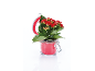 Red kalanchoe plant in a glass jar with a red lid.