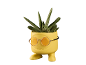 Yellow smiling face flower pot with orange sunglasses and a succulent plant.