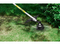 String trimmer cutting grass next to bushes.