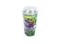 Clear plastic cup with a Sarracenia Hybride carnivorous plant and a drawing of a plant with a mouth.