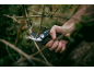Hand holding pruning shears, trimming a branch in a garden.
