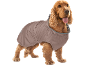 Cocker Spaniel dog wearing a brown padded dog coat with a striped collar.