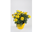 Yellow daisies in a yellow pot.