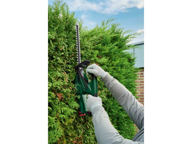Trimming a hedge with an electric hedge trimmer