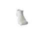 A white ankle sock, with the toe pointing right, against a black background.