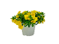 Yellow petunia plant in white pot.