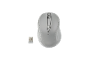 Wireless mouse and USB receiver, with a grey casing and the text 'TRONIC'.