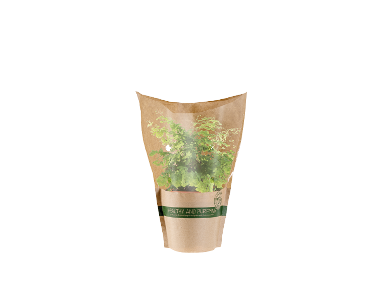 Potted plant in brown paper packaging, with the text 'HEALTHY AND PURIFYING'.