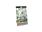 Premium quality Narcissus poeticus var. recurvus bulbs pack, 8 pieces.