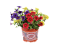 Pot of red, yellow, and purple petunia flowers with a 'Confetti Garden' label.