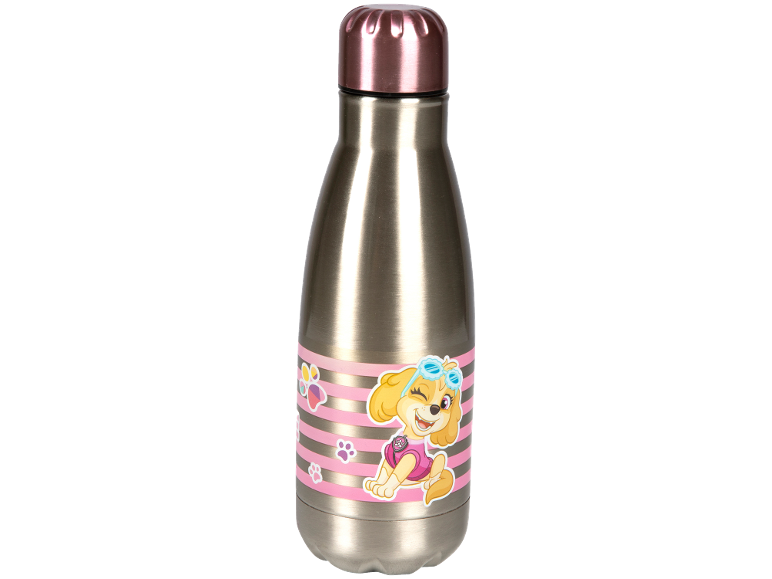 Metal water bottle with Paw Patrol design and pink stripes