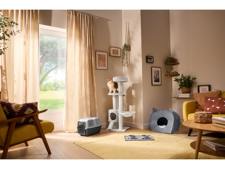 Cat tree, carrier, and bed in a cozy living room.