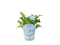 Indoor plant with green leaves and a pot featuring the text 'BLOOM YOUR ROOM'.