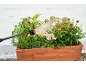 Hand spray nozzle watering a wooden raised garden bed with peppers, herbs, and flowers.