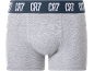 Light grey men's boxer briefs with a blue waistband featuring white text.