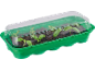 Green seed tray with clear lid, containing small plant seedlings in soil.