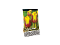 Triumph 'Helmar' tulip bulb pack with yellow and red flowers, 10 pieces.