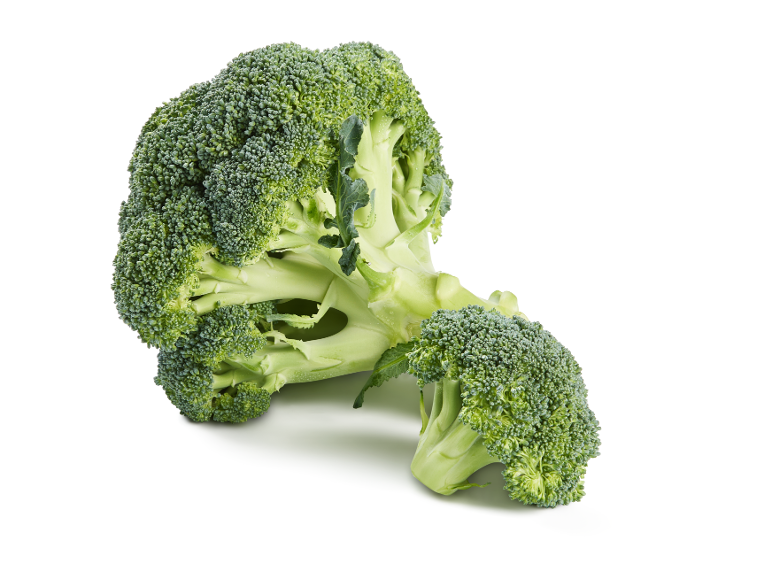 Fresh broccoli with a smaller floret, on a white background.