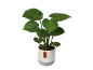 Potted green plant with large leaves in a white and grey textured pot with a 'Nature' tag.