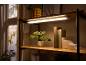 LED under-cabinet light illuminating a shelf with a plant and books.