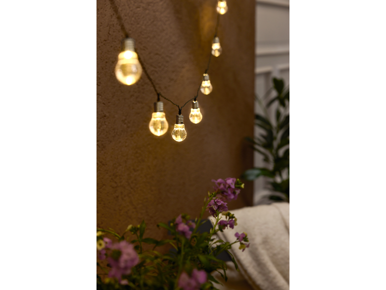 Warm string lights with purple flowers in the foreground.