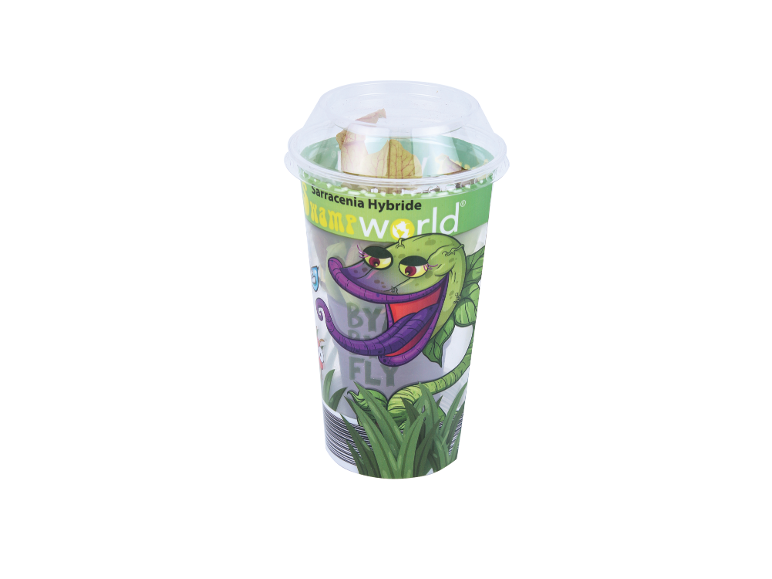 Clear plastic cup with a Sarracenia Hybride carnivorous plant and a drawing of a plant with a mouth.