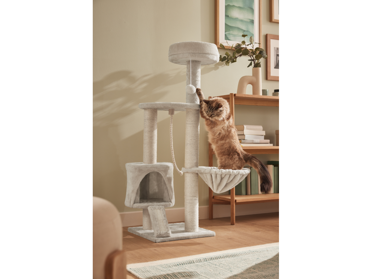 Zoofari Cat Activity Tower | Lidl
